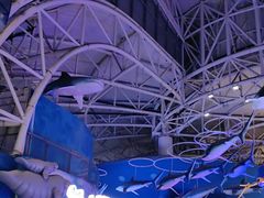-烟台海昌鲸鲨海洋公园