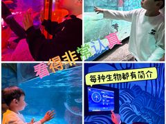 -沈阳海洋探索中心