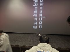 -山文星辉影城(青岛和谐广场店)