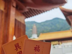 -深圳仙湖植物园