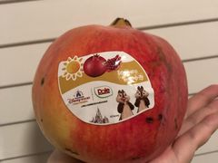 -山姆会员商店(杨桥西路店)