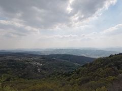 -望溪公园