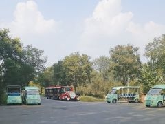 -微山湖红荷湿地景区