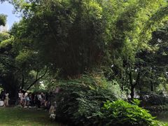 -成都市活水公园