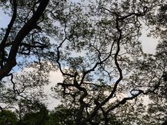 -东海岸人工湖美食村