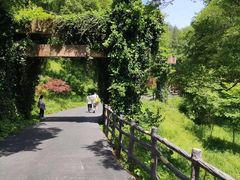 -南京老山国家森林公园