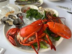 -莫尔顿牛排坊(浦东ifc店)