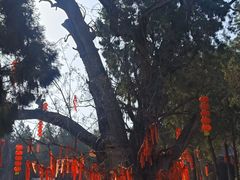 -尧庙景区