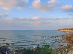 -海岛日记(养马岛店)