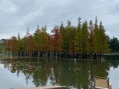 -白鹭湾湿地公园