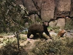 -陕西自然博物馆