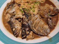 -船歌·鱼水饺青岛菜(合肥路永旺店)