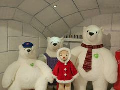 -济州岛泰迪熊博物馆