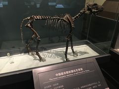 -大庆市博物馆