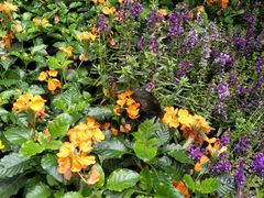 -CoCo都可(惠山古镇店)