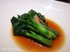 -觀芷隐轩