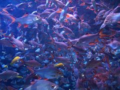 -成都浩海立方海洋公园