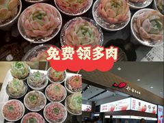-船歌·鱼水饺青岛菜(国贸商城店)