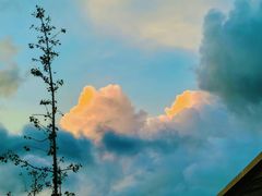 -浦江镇(地铁站)