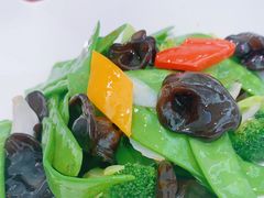 -大树餐厅(万达创始店)