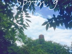-青城山