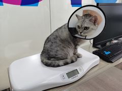 -荔康动物医院(康王北路店)