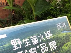 -蘑界·野生菌火锅(深业上城店)