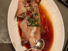 -粤江春·早茶·潮粤菜·宴会(罗湖宝能中心店)