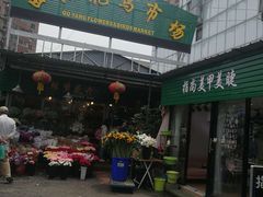 -曲阳花鸟市场(曲阳路店)