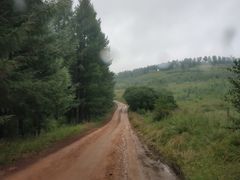 -塞罕坝国家级自然保护区