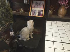 -MIKAKU(万达广场上海宝山店)