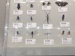 -四川大学博物馆