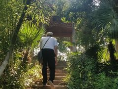 -菊花台公园