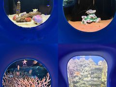-欢乐海岸海洋奇梦馆