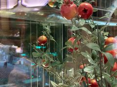 -点都德(广州白云山景区南门店)