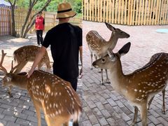 -水上乐园·欢乐世界