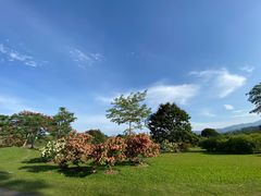-中国科学院西双版纳热带植物园