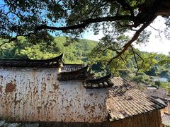 -杨家堂村