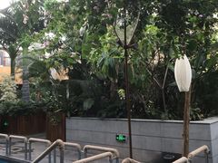 -固安来康郡来康温泉