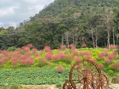 -广州市石门国家森林公园