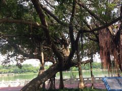 -南宁南湖公园