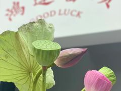 -满凤楼·苏式糕点