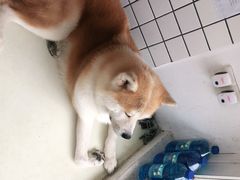 -餐酒吧Com-ing Bar(上海路店)