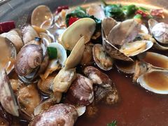 铜盘花蛤-新白鹿餐厅(城西银泰城店)