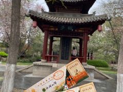-碑林公园