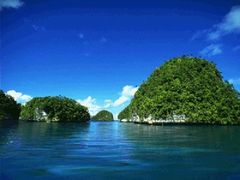 iphone_upload_pic-狗舍宠物医院(四季商业广场店)