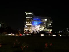 -新加坡柏薇罗切斯特酒店
