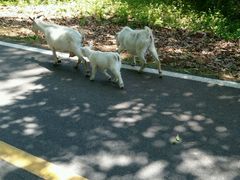 -南京金牛湖风景区