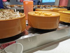 -龍歌自助小火锅(崂山丽达店)