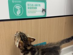 -瑞派中心宠物医院·CT·核磁·神经专科
